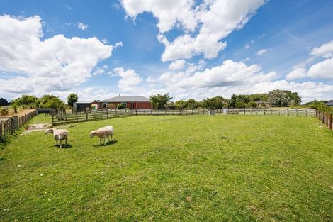 Photo of property in 169 Greer Court, Bunnythorpe, Palmerston North, 4481