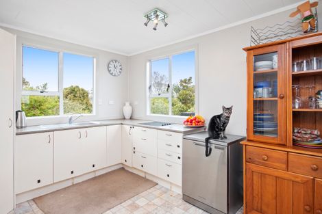 Photo of property in 58 Mclarin Road, Glenbrook, Waiuku, 2681