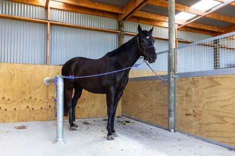 Photo of property in 59 Marama Road, Seddon, 7285