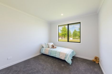 Photo of property in 3 Mindys Place, Richmond, 7020