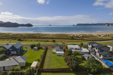 Photo of property in 81 Buffalo Beach Sh25 Road, Whitianga, 3510