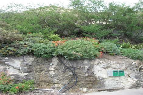 Photo of property in 80 Scarborough Road, Scarborough, Christchurch, 8081