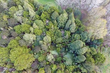 Photo of property in 229 Pahi Road, Pahi, Paparoa, 0571