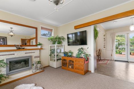 Photo of property in 40 Graham Street, Levin, 5510