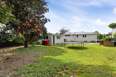 Photo of property in 17 Salisbury Avenue, Terrace End, Palmerston North, 4410