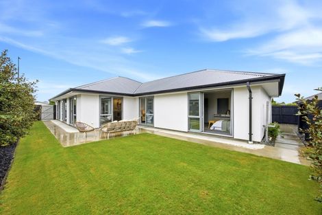 Photo of property in 73 Te Rito Street, Marshland, Christchurch, 8083