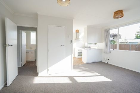 Photo of property in 42b Burns Avenue, Takaro, Palmerston North, 4412