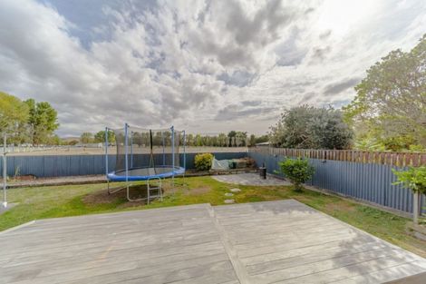 Photo of property in 33 Francis Drake Street, Waipukurau, 4200