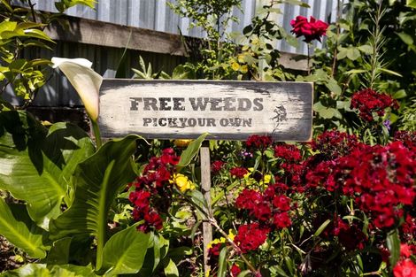 Photo of property in 7a Carr Street, Blenheim, 7201