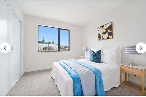 Photo of property in 39 Taipahitini Road, Rosehill, 2113