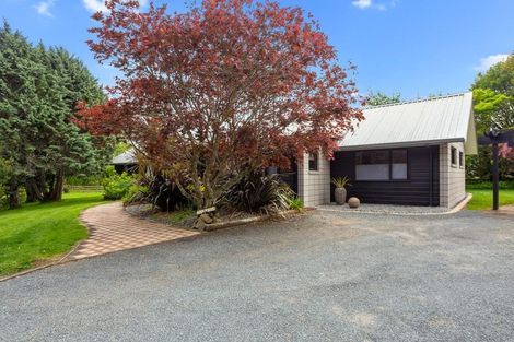 Photo of property in 27a Sheffield Street, Matamata, 3400