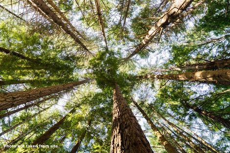 Photo of property in 135 Shetland Street, Wakari, Dunedin, 9010