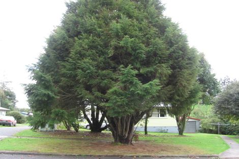 Photo of property in 202 West Parkdale Street, Tokoroa, 3420