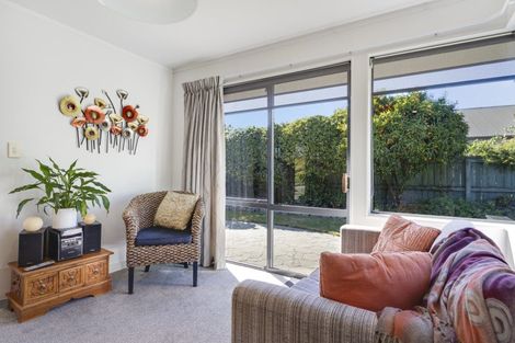 Photo of property in 60 Chelsea Avenue, Richmond, 7020