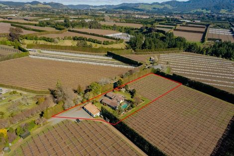 Photo of property in 26 Cheetham Avenue, Te Puke, 3182
