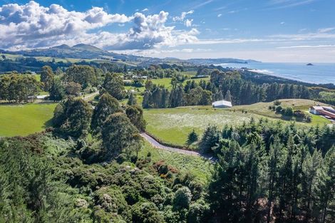 Photo of property in 47 Big Stone Road, Brighton, 9091