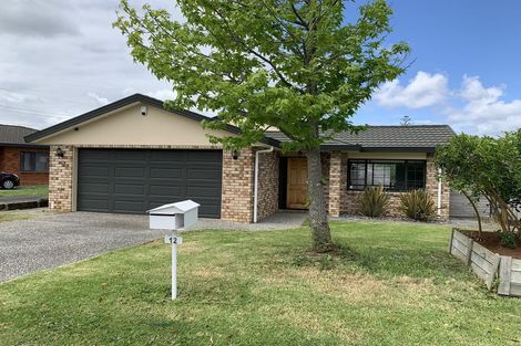 Photo of property in 12 Amarillo Place, Manurewa, Auckland, 2105