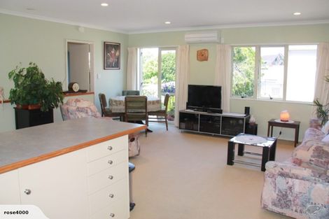 Photo of property in 22c Hunter Street, Hamilton Lake, Hamilton, 3204