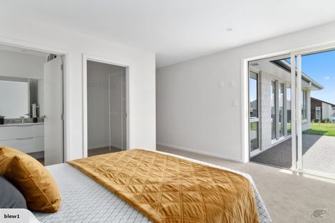 Photo of property in 80 Bert Wall Drive, Omokoroa, 3114