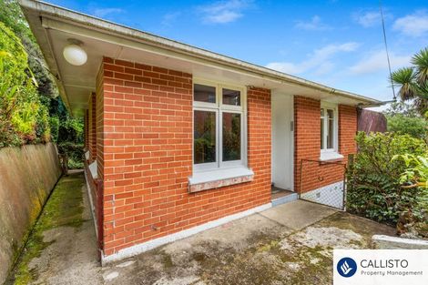 Photo of property in 213 Signal Hill Road, Opoho, Dunedin, 9010