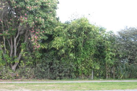 Photo of property in 10 Duncan Street, Taupo, 3330