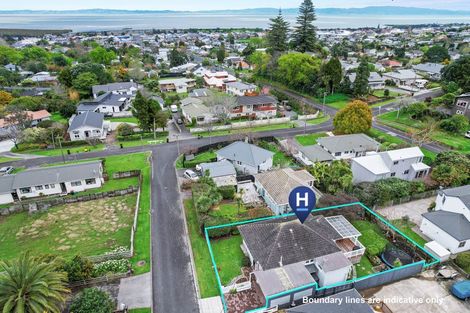 Photo of property in 105 Cook Street, Thames, 3500