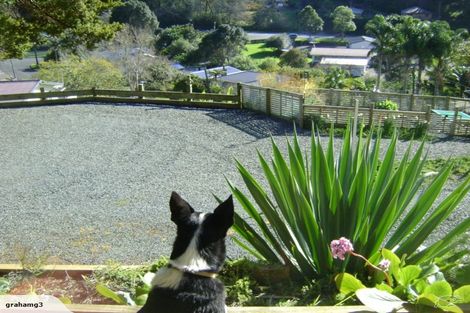 Photo of property in 20 Willow Place, Horahora, Whangarei, 0110