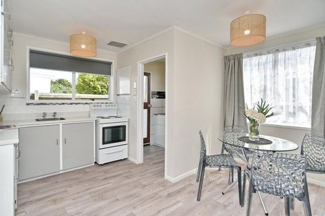 Photo of property in 1/30 Bordesley Street, Phillipstown, Christchurch, 8011