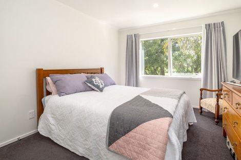 Photo of property in 38a Colville Street, Masterton, 5810