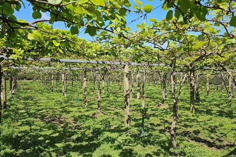 Photo of property in 566 Belk Road, Omanawa, Tauranga, 3171