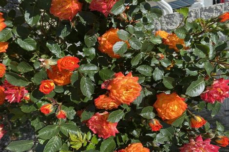 Photo of property in 12 Poplar Grove, Ebdentown, Upper Hutt, 5018