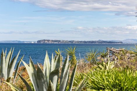 Photo of property in 238 Whirinaki Road, Eskdale, Napier, 4182