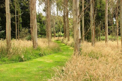 Photo of property in 828 Dover Road, Okato, New Plymouth, 4374