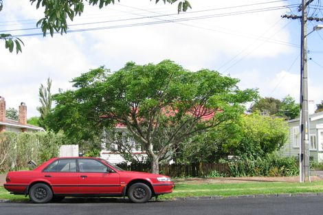 Photo of property in 14a Formby Avenue, Point Chevalier, Auckland, 1022