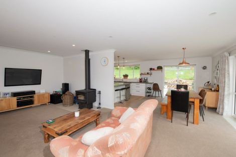 Photo of property in 489 Waikerikeri Valley Road, Springvale, Alexandra, 9391