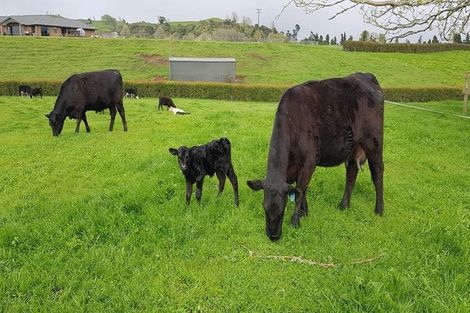 Photo of property in 2291 Maungatautari Road, Maungatautari, Cambridge, 3494