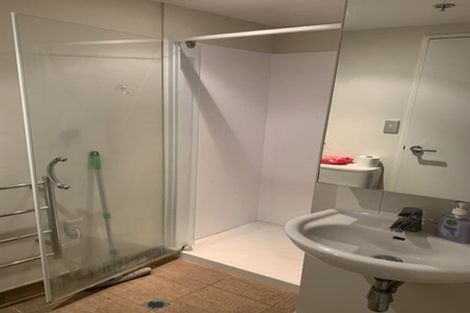 Photo of property in Soho Apartments, 320/74 Taranaki Street, Te Aro, Wellington, 6011