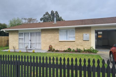 Photo of property in 131a Solway Crescent, Solway, Masterton, 5810