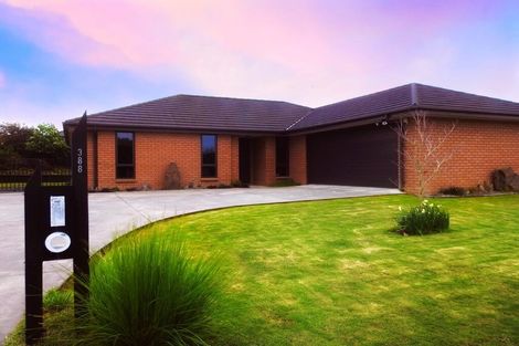 Photo of property in 388 Borman Road, Flagstaff, Hamilton, 3210