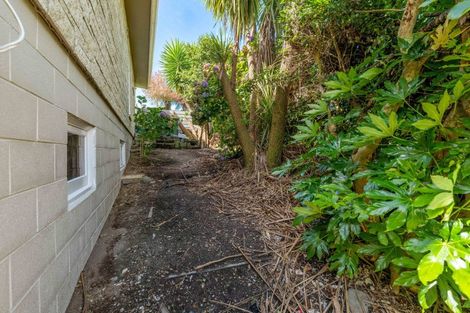 Photo of property in 188 Huatoki Street, Upper Vogeltown, New Plymouth, 4310