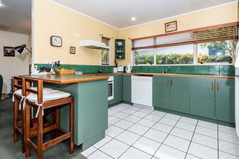 Photo of property in 293a Ormond Road, Mangapapa, Gisborne, 4010