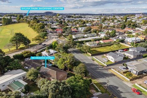 Photo of property in 9b Meadow Street, Mount Wellington, Auckland, 1062