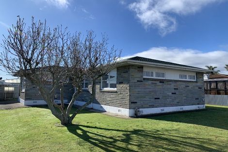 Photo of property in 3 Selwyn Street, Levin, 5510