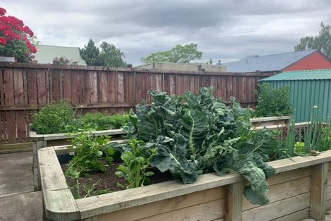 Photo of property in 6 Gilling Place, Cromwell, 9310