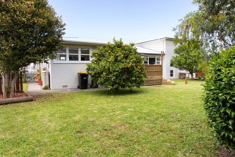 Photo of property in 77 Fergusson Street, Woodville, 4920