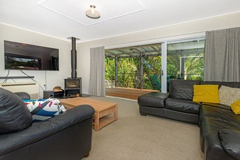 Photo of property in 55 Winter Street, Mangapapa, Gisborne, 4010