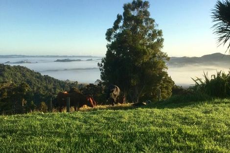 Photo of property in 559 Mount Tiger Road, Whareora, Onerahi, 0192