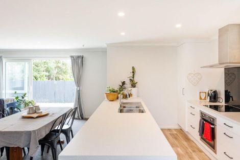 Photo of property in 29a Gemini Avenue, Milson, Palmerston North, 4414
