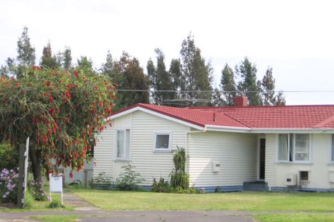 Photo of property in 50 Lyndhurst Street, Awapuni, Gisborne, 4010