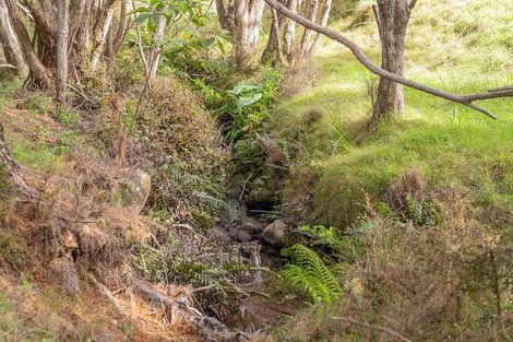 Photo of property in 425n Boat Harbour Road, Whenuakite, Whitianga, 3591